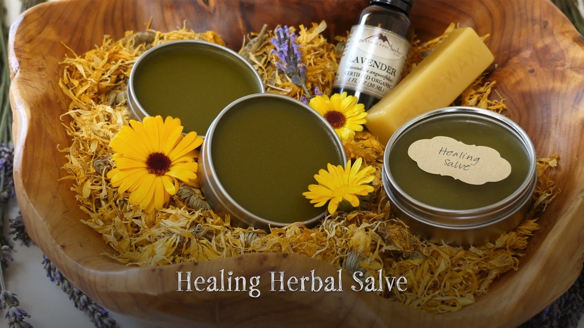 10-healing-herbal-salve