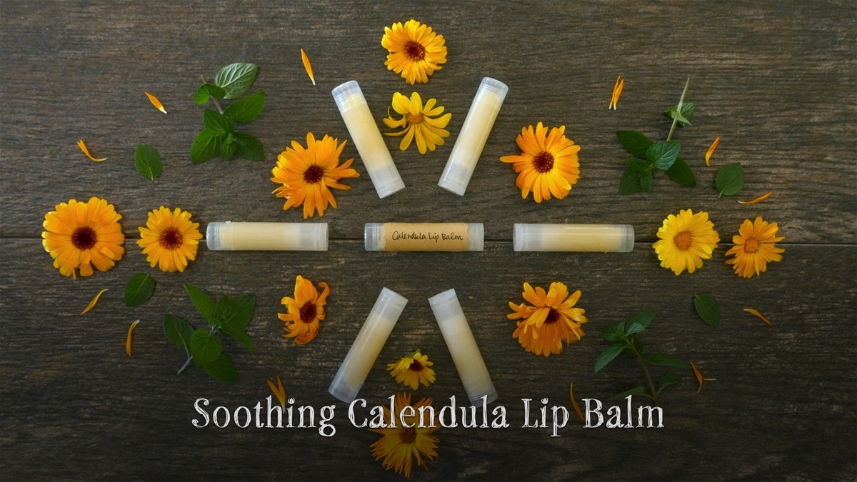 11-soothing-calendula-lip-balm