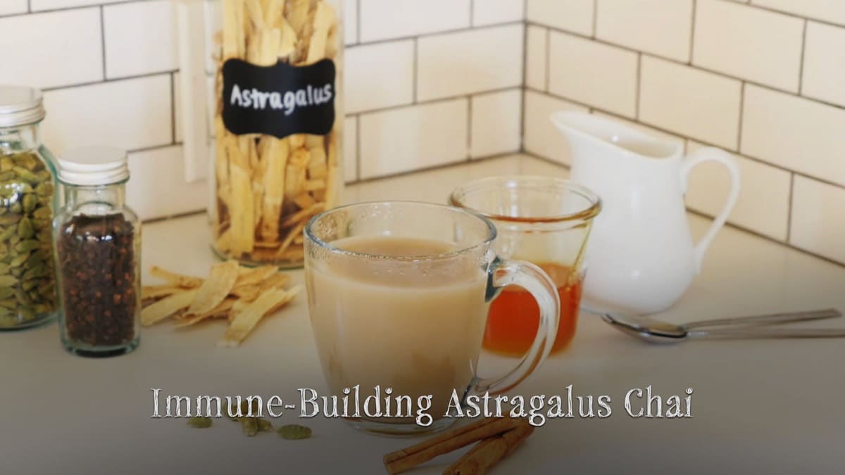 3-immune-building-astragalus-chai