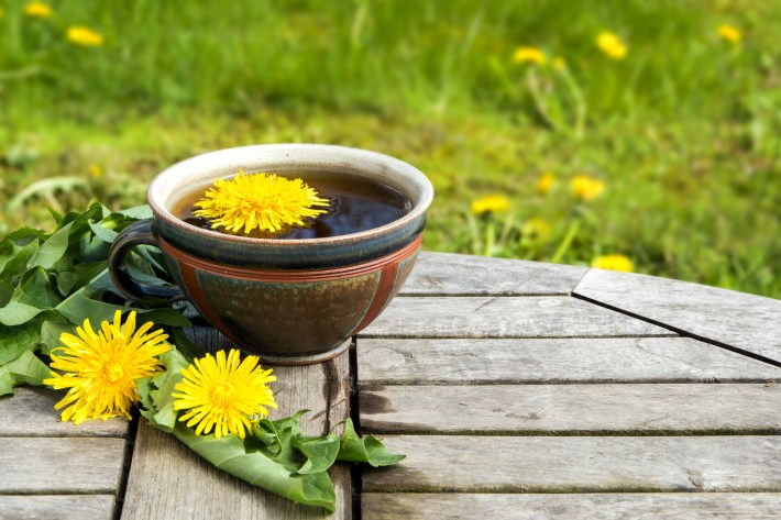 A closeup photograph of a cup of dandelion coffee / dandelion tea on a wooden table.