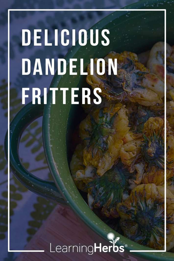 Dandelions and Delicious Dandelion Fritters
