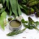 herbal first aid ointment