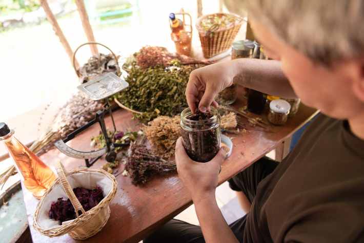 how to become an herbalist