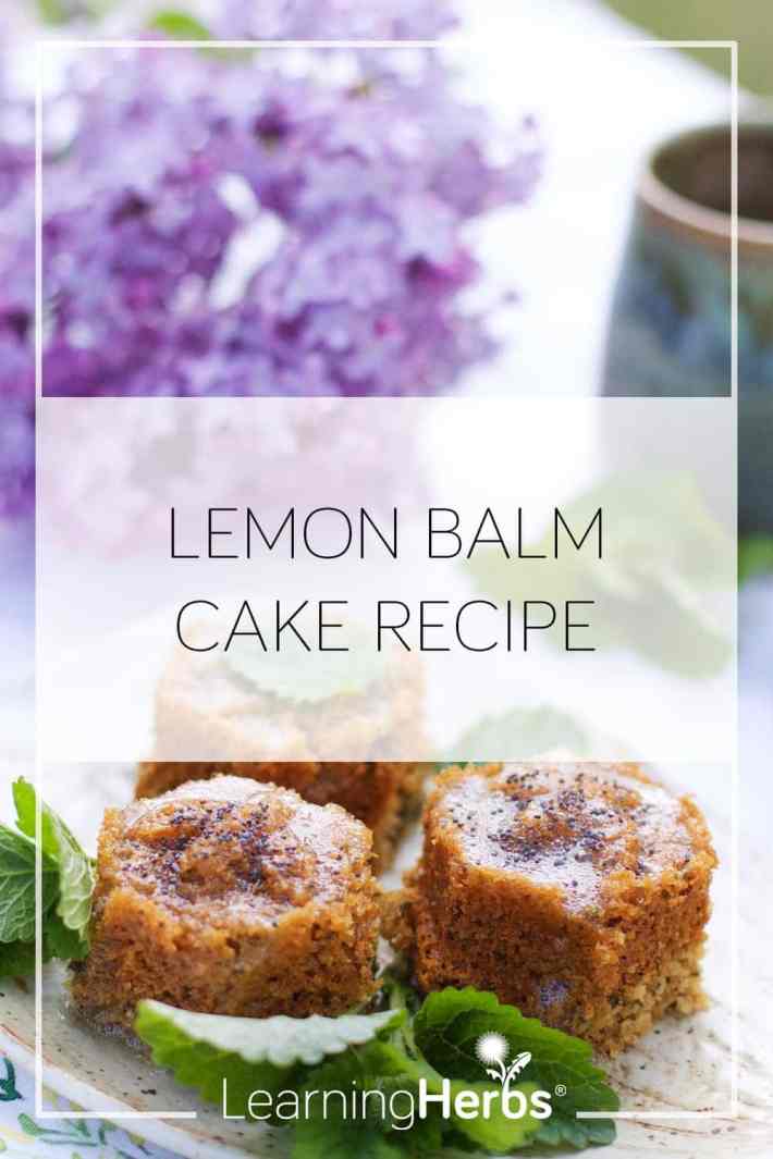 lemon balm cake recipe