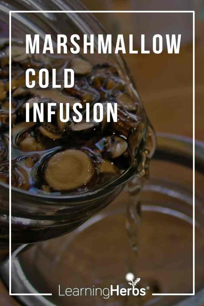 cold infusion recipe
