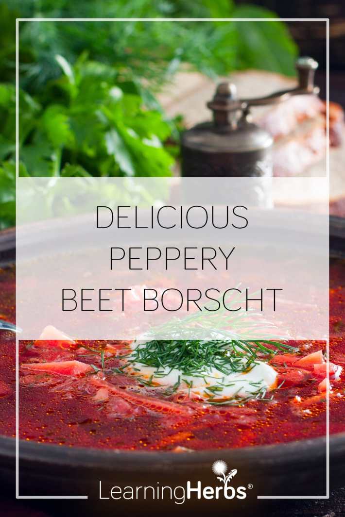 Delicious Peppery Beet Borscht Recipe