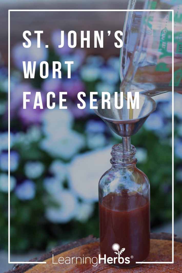 How to Make St. John's Wort Oil & Skin Serum