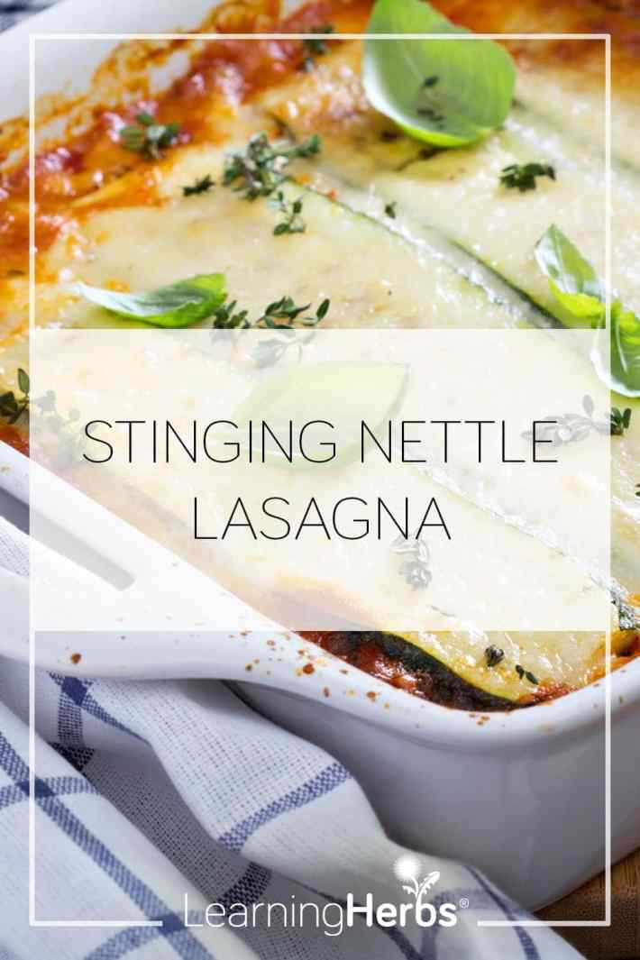 Stinging Nettle Lasagna