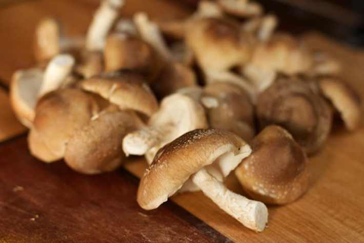 Tom Kha Soup: Shiitake Mushrooms