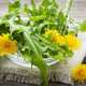 Rosemary Gladstar: Wild Greens & Spring Remedies