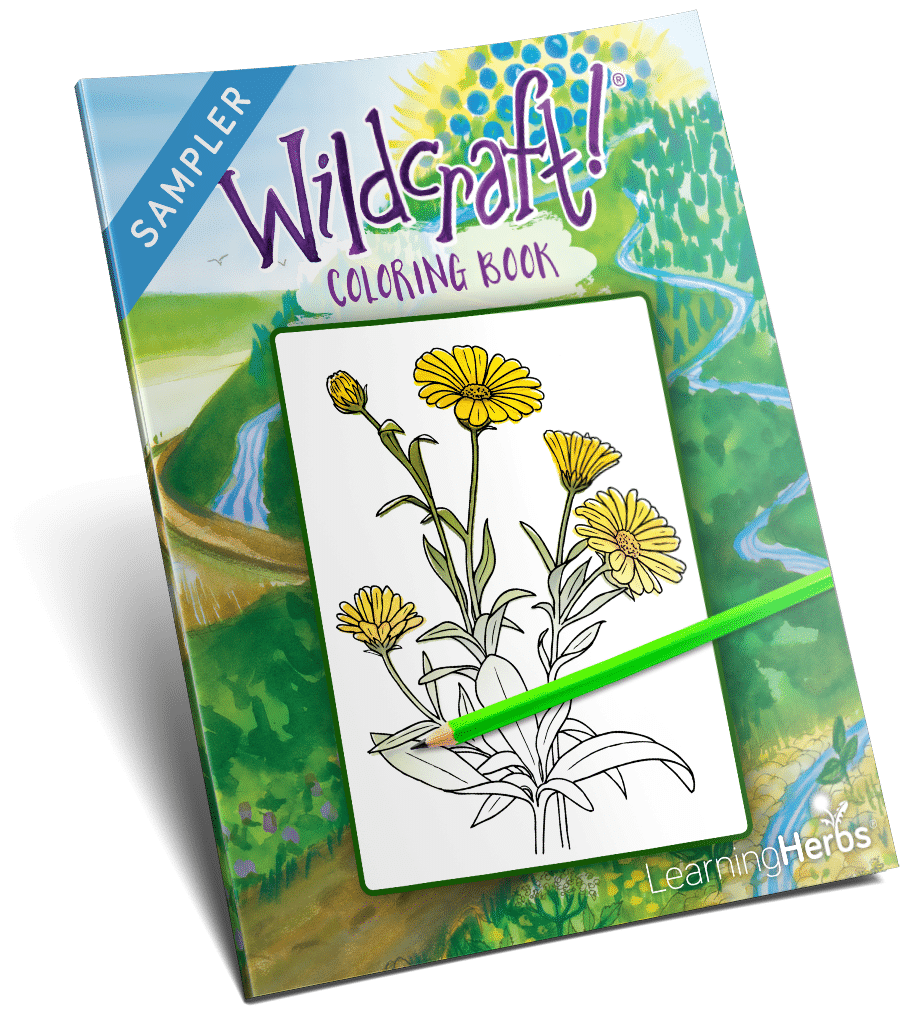 Wildcraft Herbs Coloring Book